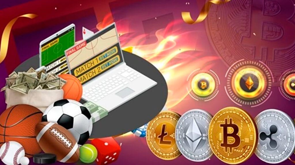 星空体育全方位解读：满足玩家需求的在线娱乐平台